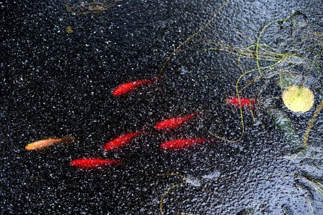 1583449067555066.jpg timg.jpg