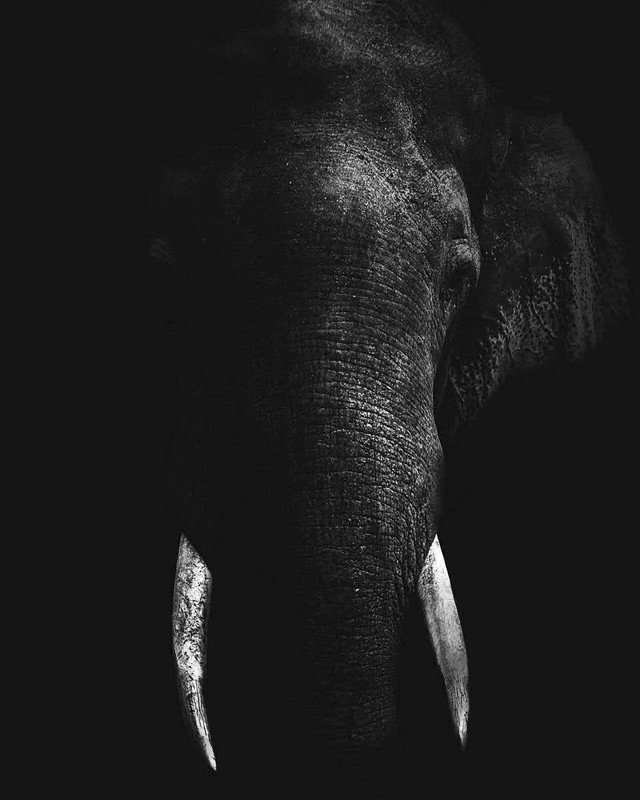 webwxgetmsgimg (9).jpg