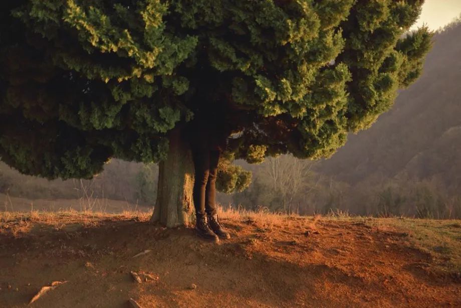 webwxgetmsgimg (6).jpg