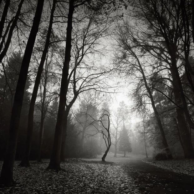 webwxgetmsgimg (3).jpg