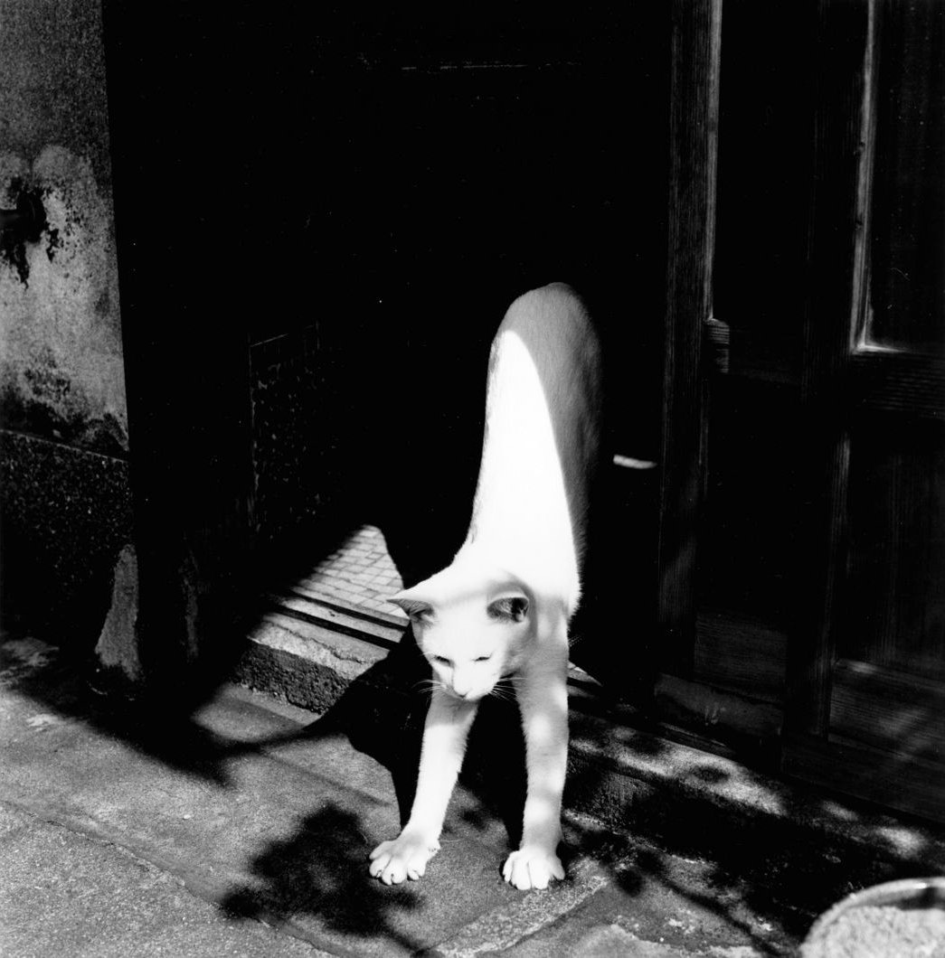 webwxgetmsgimg (15).jpg